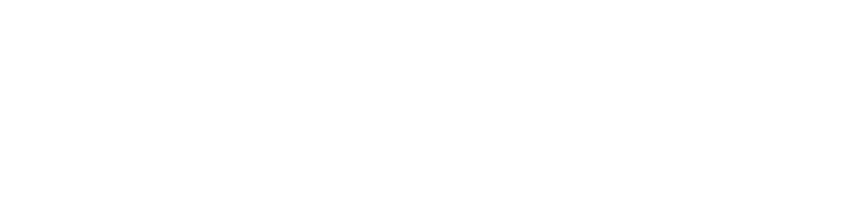 Fizz & Flirt Soda Co
